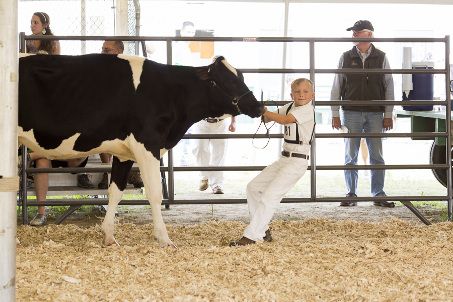 NY County Fair-16