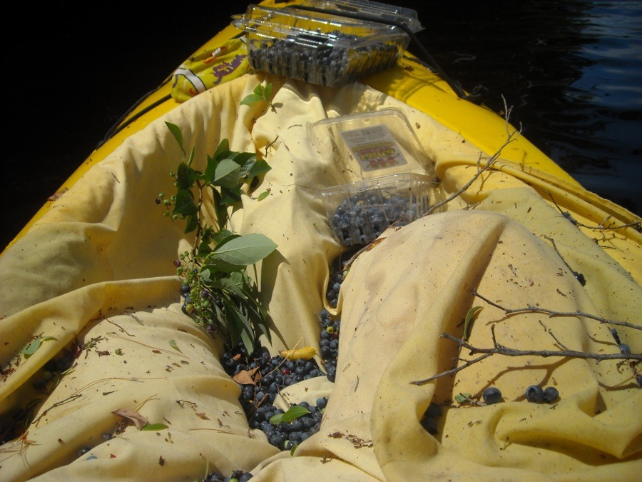 wild blueberry pie via@kingarthurflour