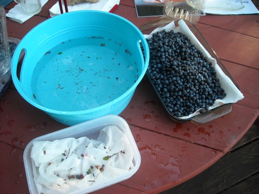wild blueberry pie via@kingarthurflour
