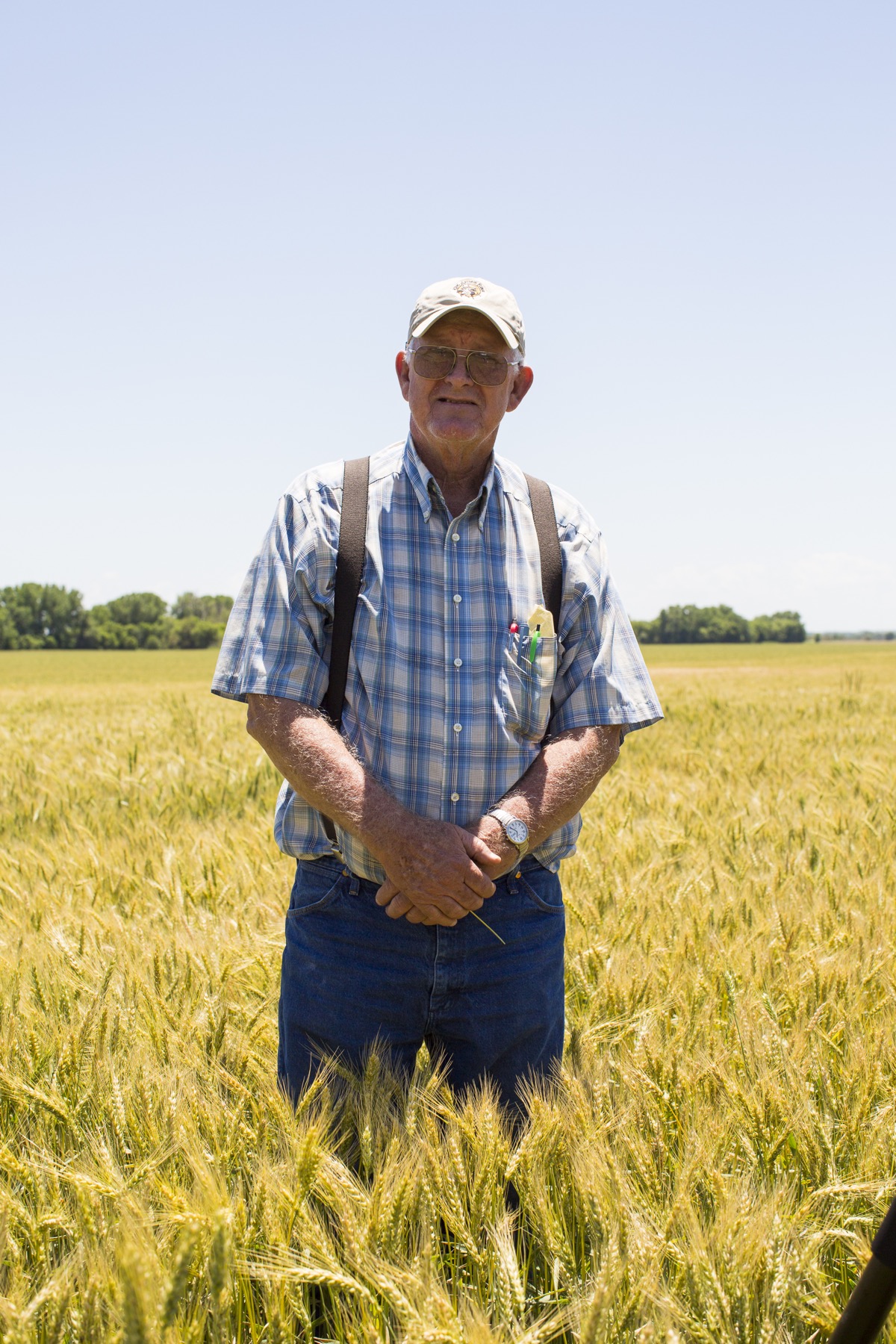 Identity-preserved wheat via @kingarthurflour