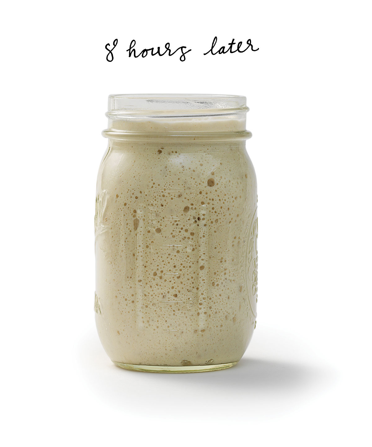 sourdough starter via@kingarthurflour