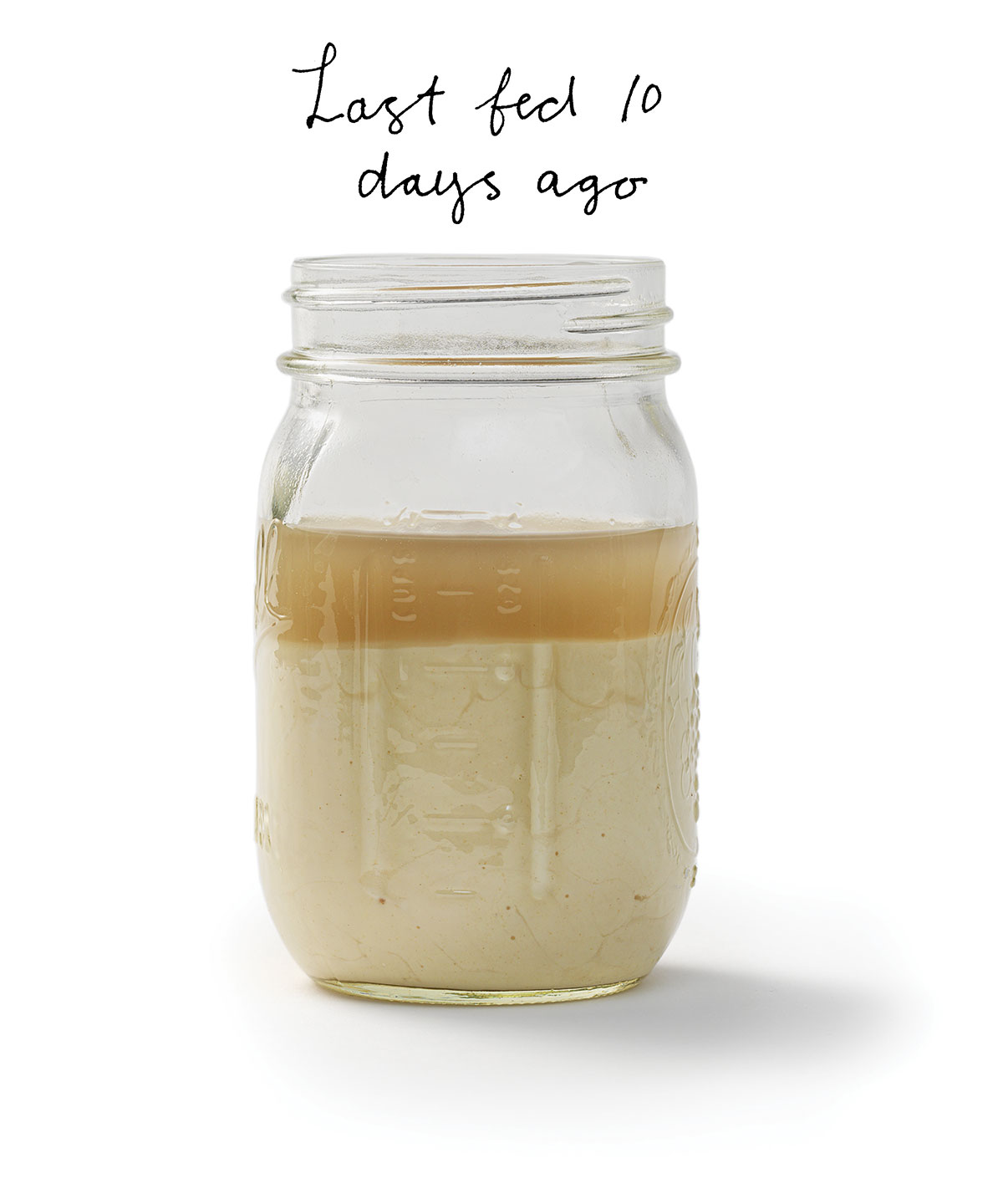 sourdough Starter via@kingarthurflour.com