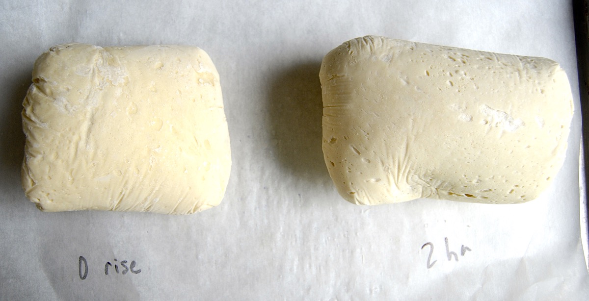 Freezing No-Knead Bread Dough via @kingarthurflour