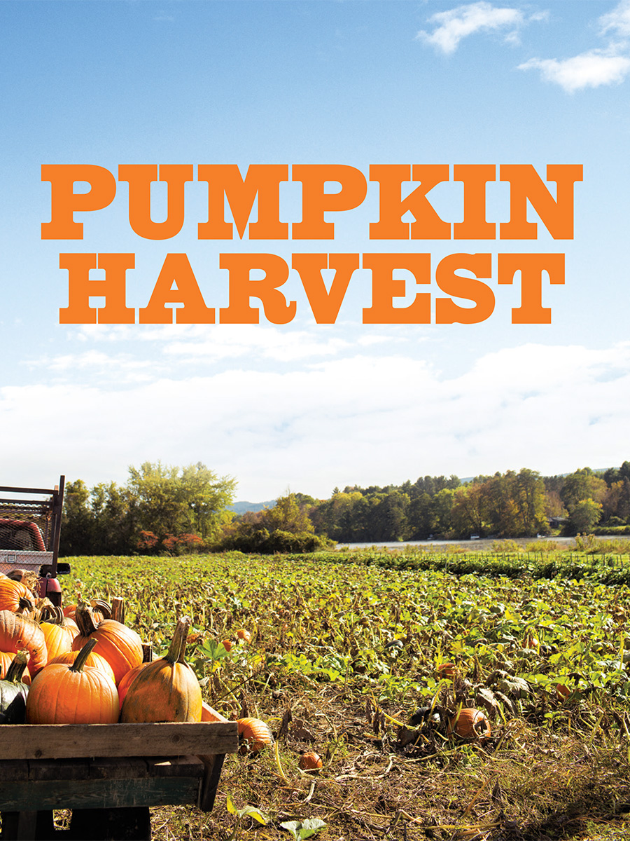 Sift magazine via @kingarthurflour