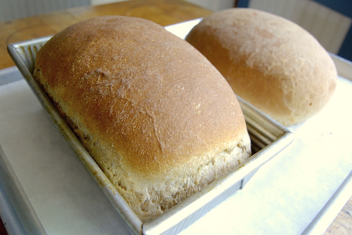 Everyday Whole-Grain Bread Bakealong via @kingarthurflour