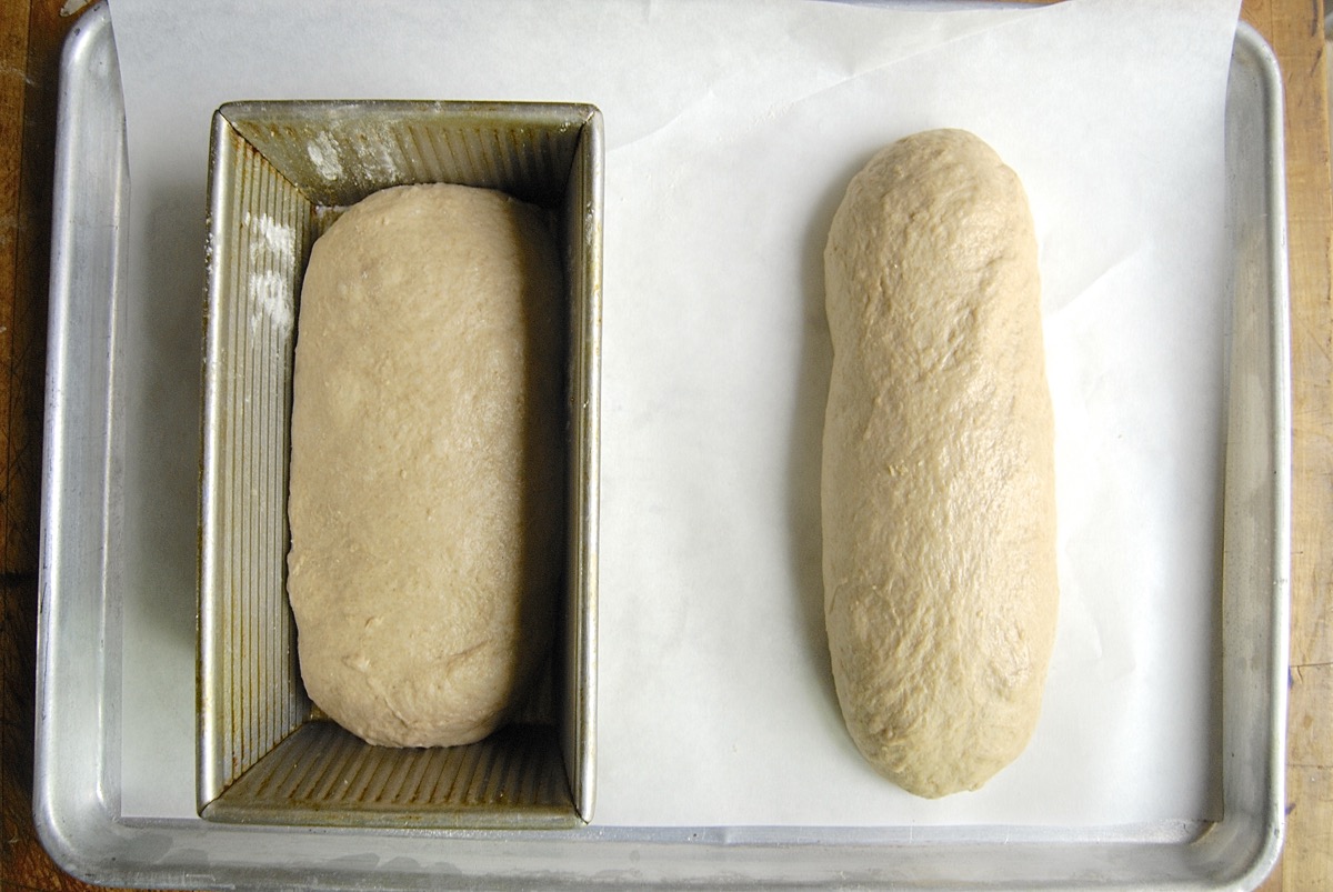 Everyday Whole-Grain Bread Bakealong via @kingarthurflour