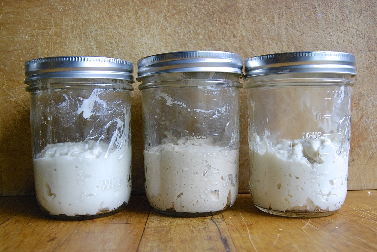 Grape sourdough starter via @kingarthurflour
