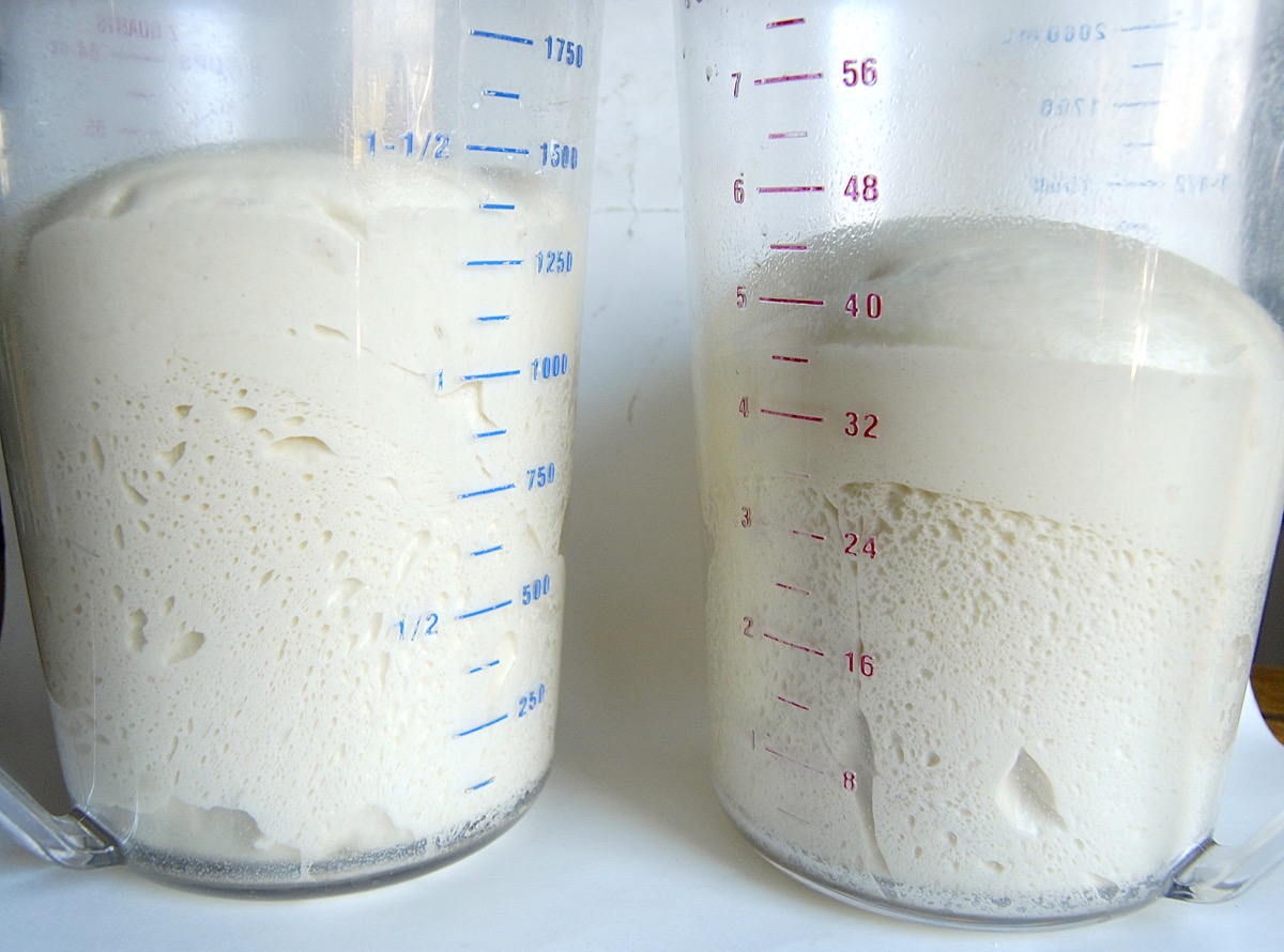 Sourdough Pizza Crust via @kingarthurflour