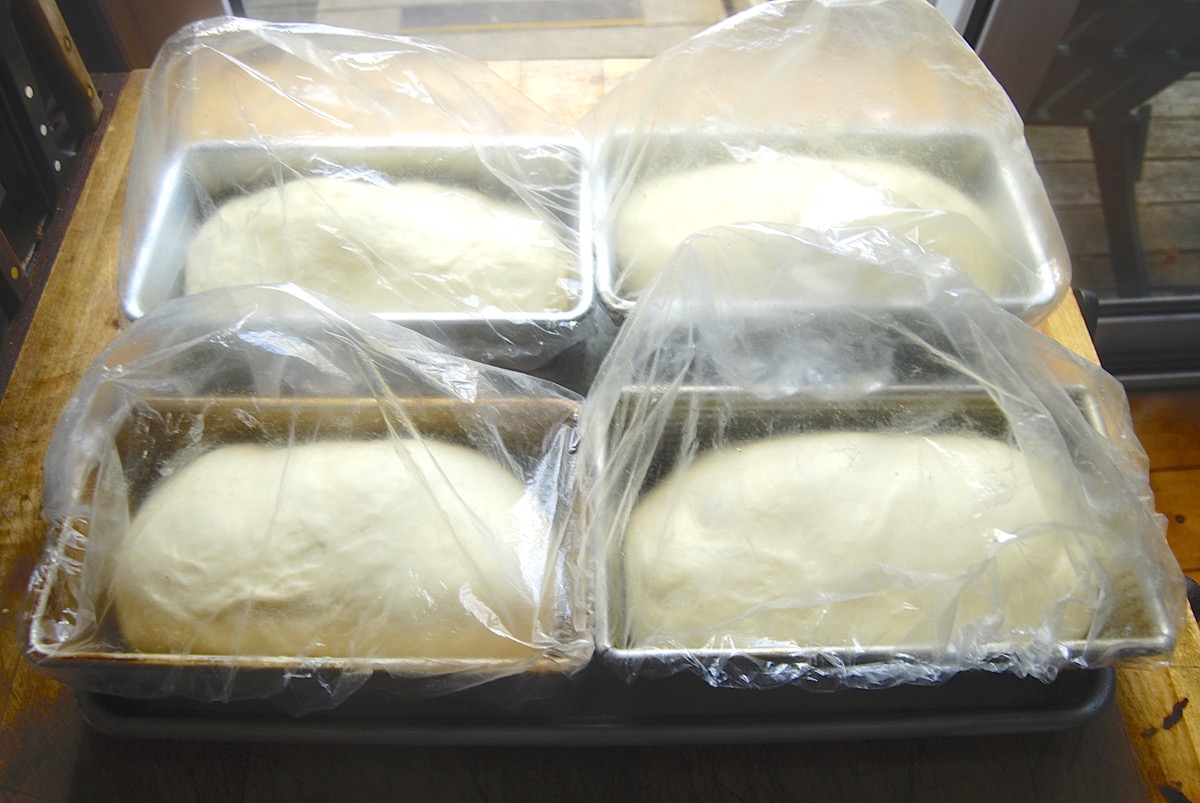 Substitute for potato flour via @kingarthurflour