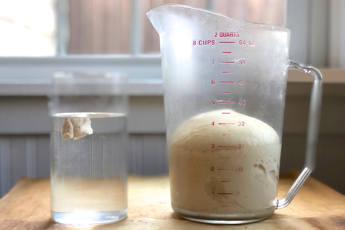 Float test for yeast dough sourdough starter via @kingarthurflour