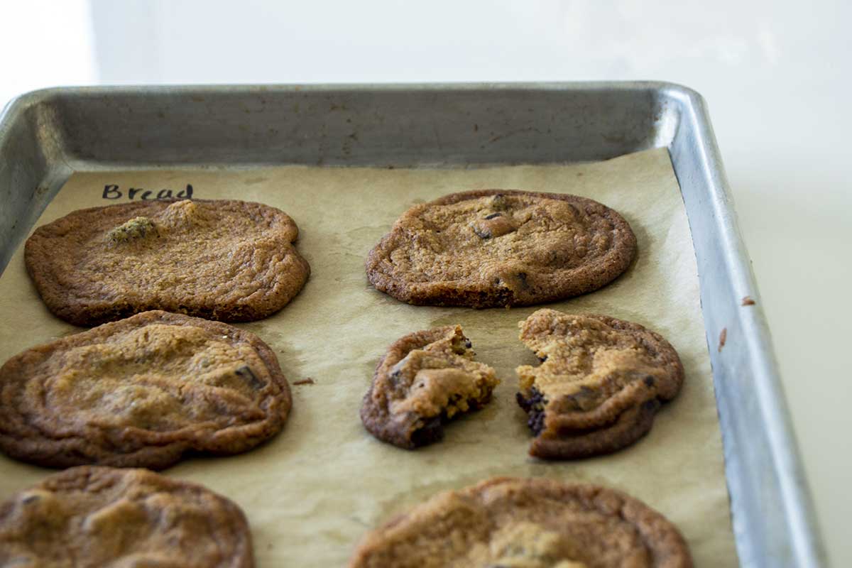 Chocolate chip cookies on a tray, with one cookie broken in half