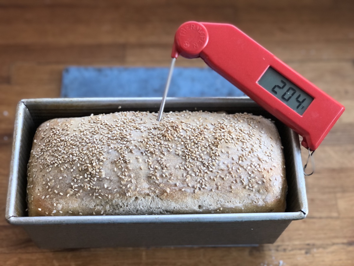 Baked sourdough bread with a thermometer inserted into its center registering 204°F.
