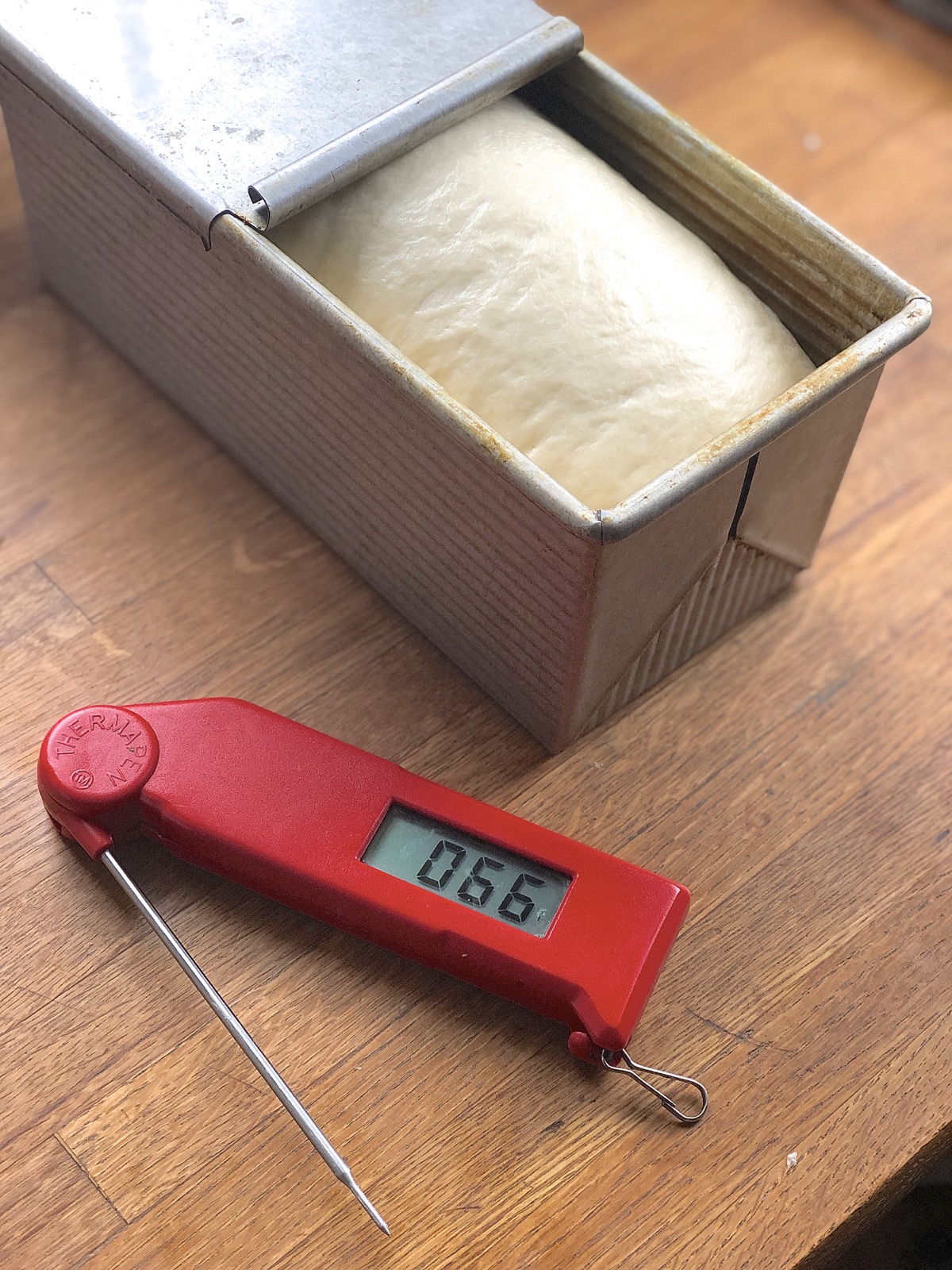 Rising dough in a loaf pan with a thermometer showing air temperature next to the pan.