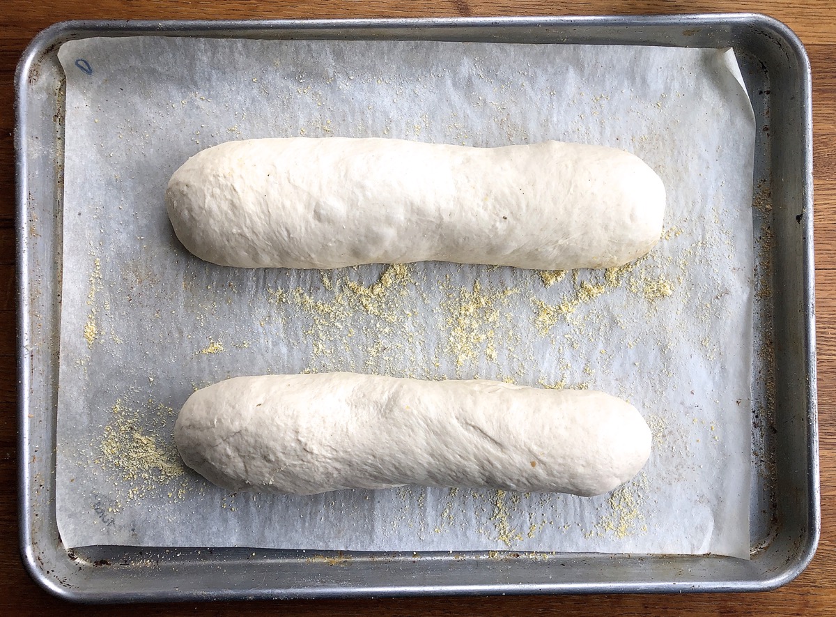 Two long loaves on a baking sheet lined with parchment and sprinkled with cornmeal.