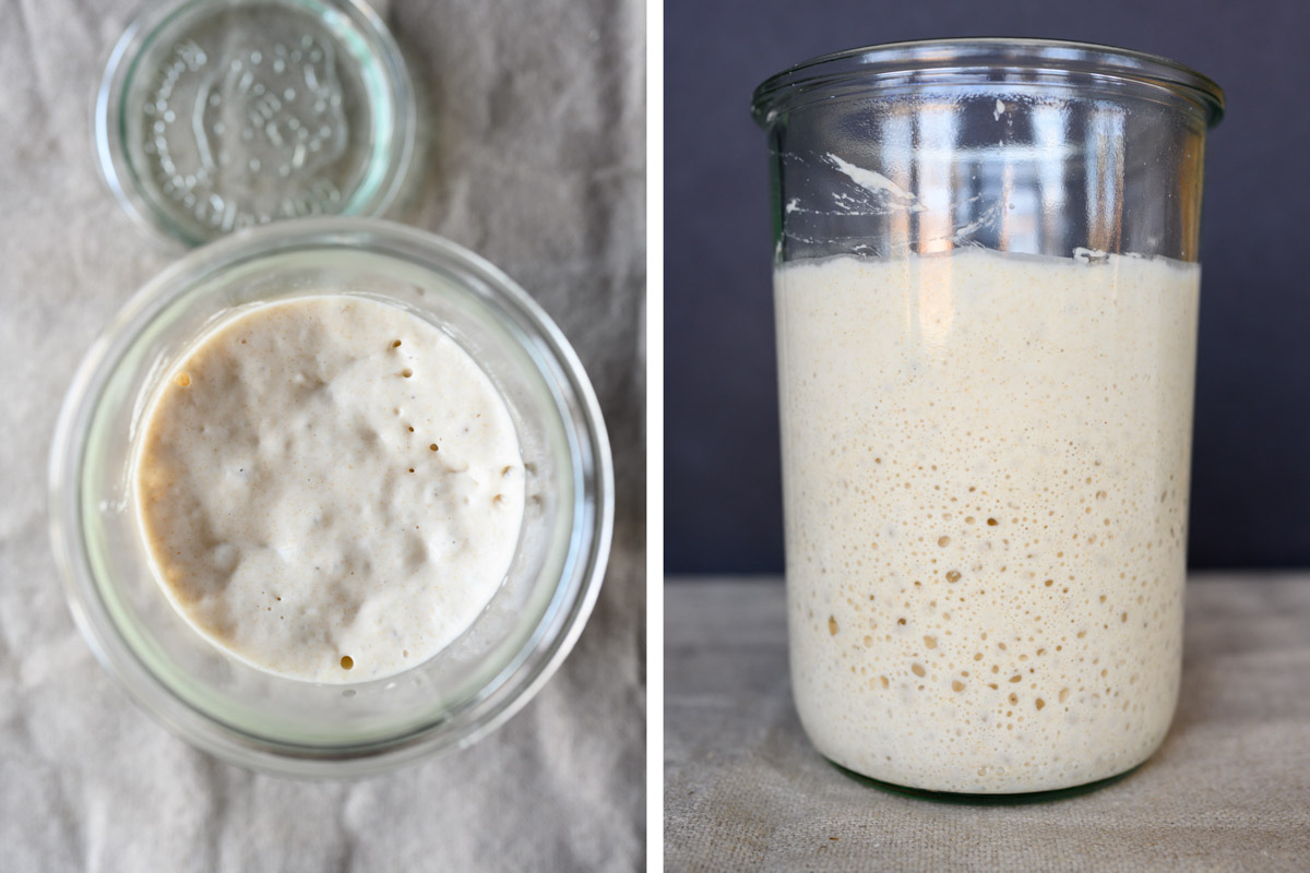 Fully ripe sourdough starter