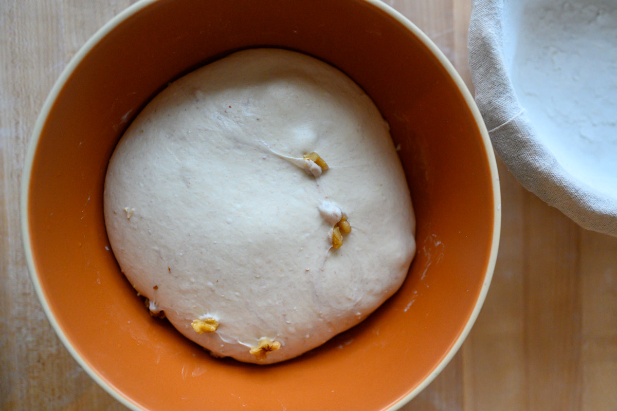 Dough in first rise before the second set of stretch and folds