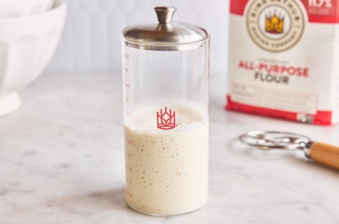 Small sourdough jar on the counter 