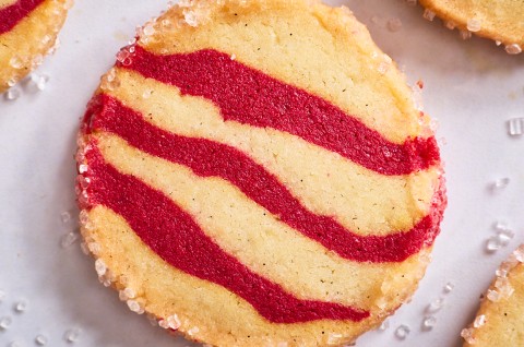 Photograph of a single striped shortbread peppermint cookie from the top. - select to zoom