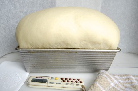 Over-proofed dough via @kingarthurflour