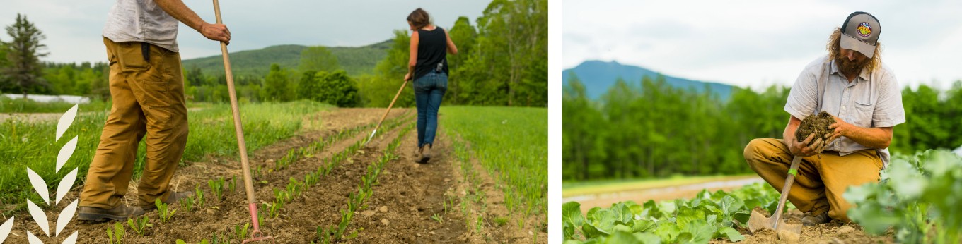 Northeast Organic Farming Association of Vermont