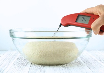 Thermometer probe placed into the center of a bowl of just-kneaded dough showing a dough temperature of 75°F.