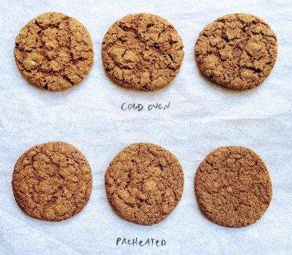 Molasses cookies on parchment showing their nicely fissured tops.