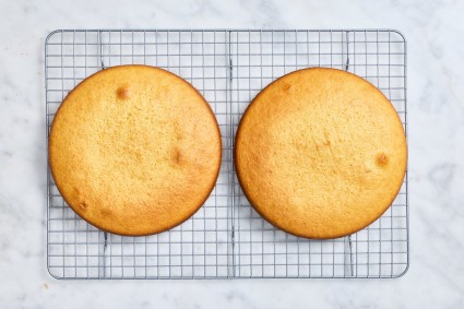 Two round yellow cakes next to each other