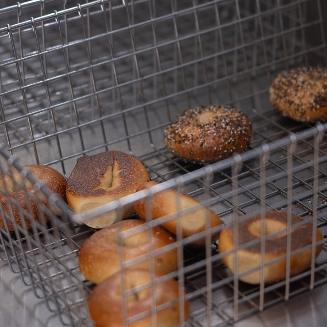 Photograph of a bin with freshly baked bagels. - select to zoom