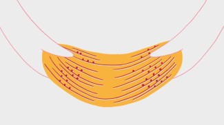 What Is Gluten and How Does It Work?