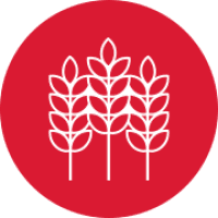 Never Bleached, Never Bromated